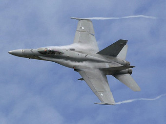 F/A-18C Hornet ВВС Финляндии. Фото с сайта patria.fi
